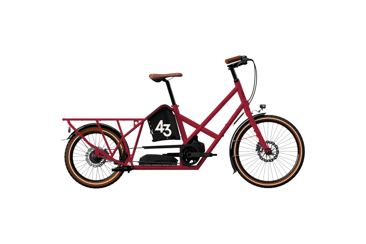bike43-raspberry