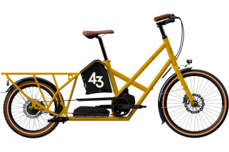 bike43-alpster-nexus-inter-5-yellow