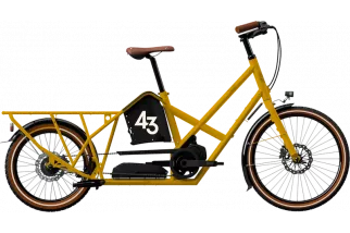 bike43-alpster-nexus-inter-5-broom-yellow