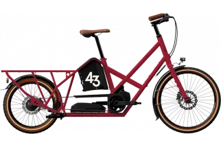bike43-alpster-nexus-inter-5-raspberry