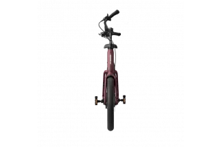 VAE 20 pouces Tenways AGO compact perfomance Toulouse