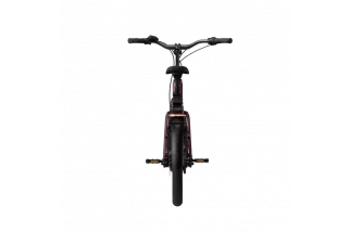 VAE 20 pouces Tenways AGO compact perfomance Toulouse